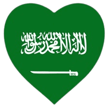 شات السعودية